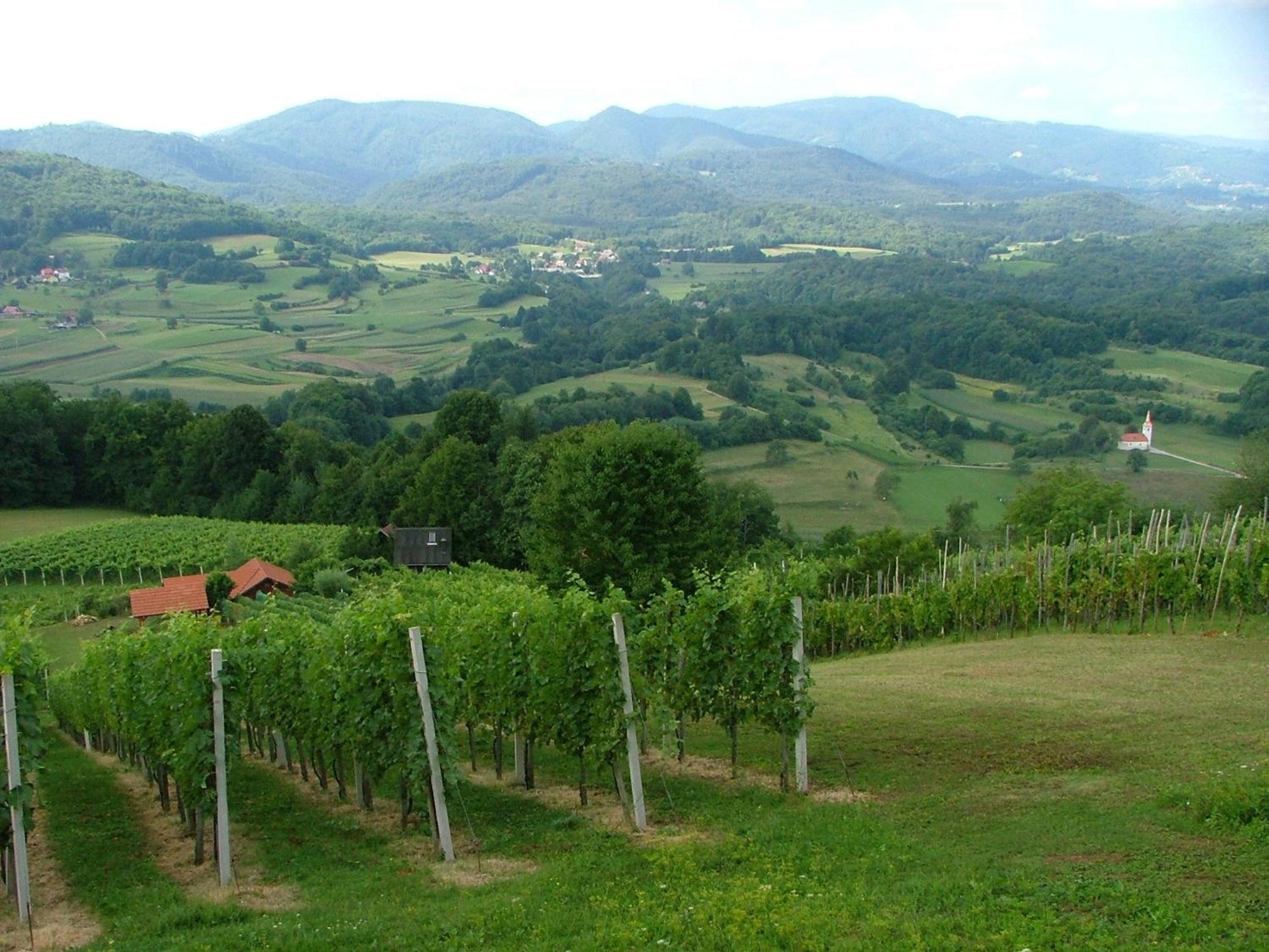 Tourist Farm Pri Martinovih Villa Krska Vas Exterior photo